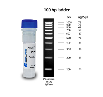 SmartCheck™ 100bp DNA Ladder, 500µl / 100 lanes