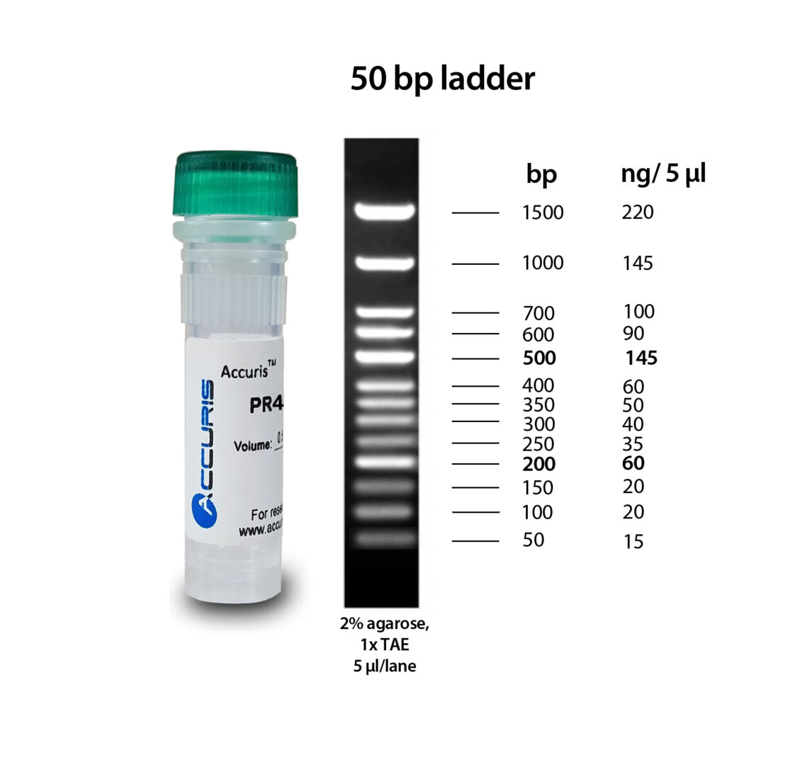 SmartCheck™ 50bp DNA Ladder, 500µl / 100 lanes